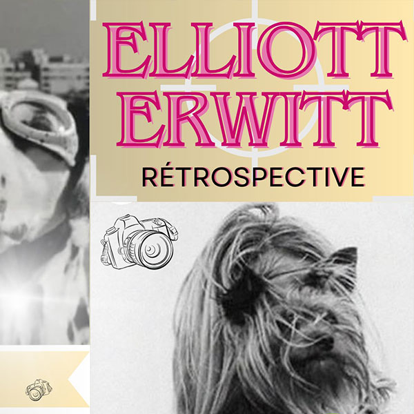 Elliott Erwitt : Rétrospective ; L’exposition qui met de bonne humeur !