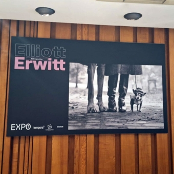 Rétrospective : EXPO Elliott Erwitt